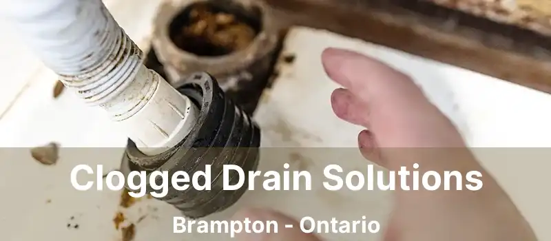  Clogged Drain Solutions Brampton - Ontario