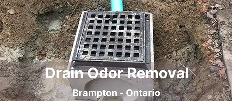  Drain Odor Removal Brampton - Ontario