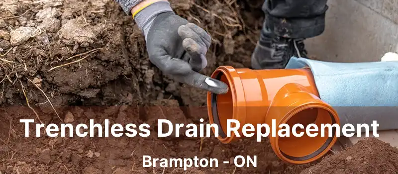  Trenchless Drain Replacement Brampton - ON